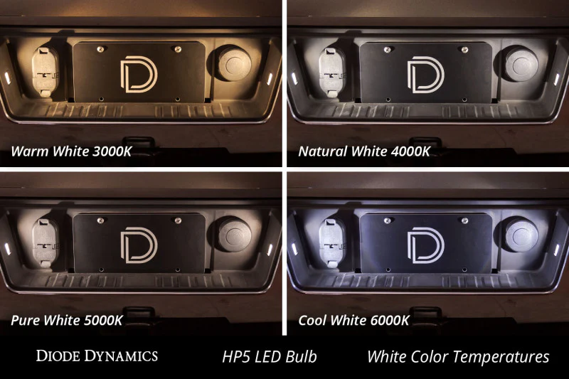Diode Dynamics 194 LED Bulb HP5 LED Natural - White (Pair) - Image 3