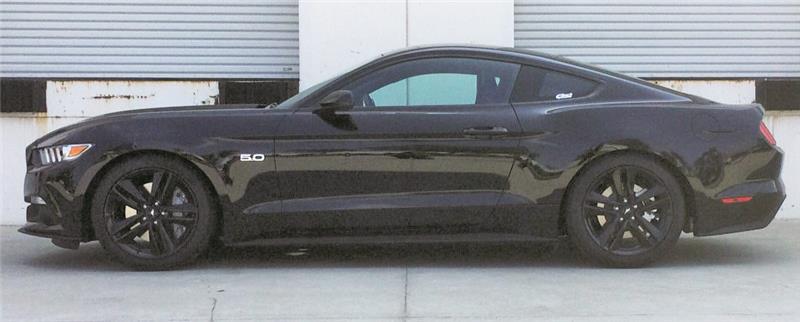 Eibach Pro-Kit for 2015 Ford Mustang GT 5.0L V8 - Image 2