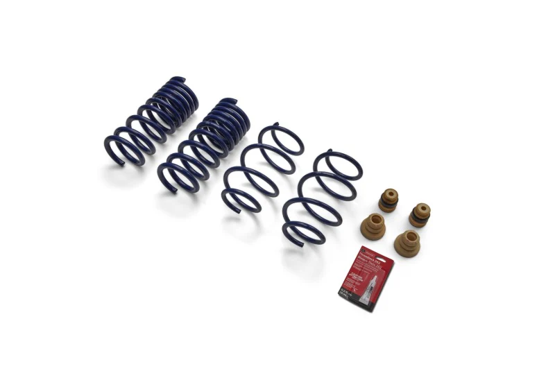 Ford Racing 15-19 Mustang (w/o MagneRide) Street Lowering Spring Kit - Image 6