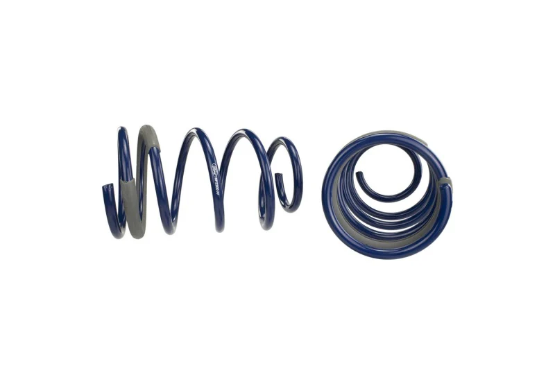 Ford Racing 2005-2014 Mustang GT 1.0in. Track Lowering Springs - Image 4