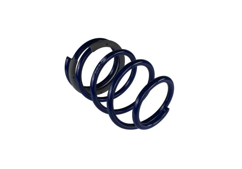 Ford Racing 2005-2014 Mustang Spring Kit 1.5in Drop - Image 5