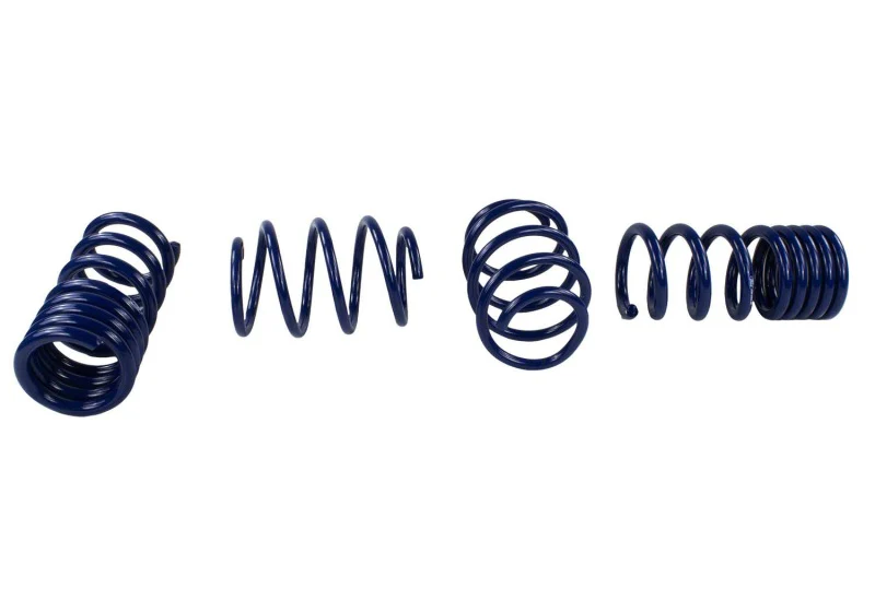 Ford Racing 2015-2017 Mustang GT350 Lowering Springs - Image 13