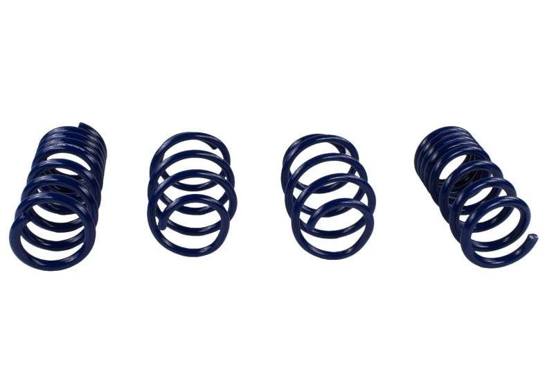 Ford Racing 2015-2017 Mustang GT350 Lowering Springs - Image 15