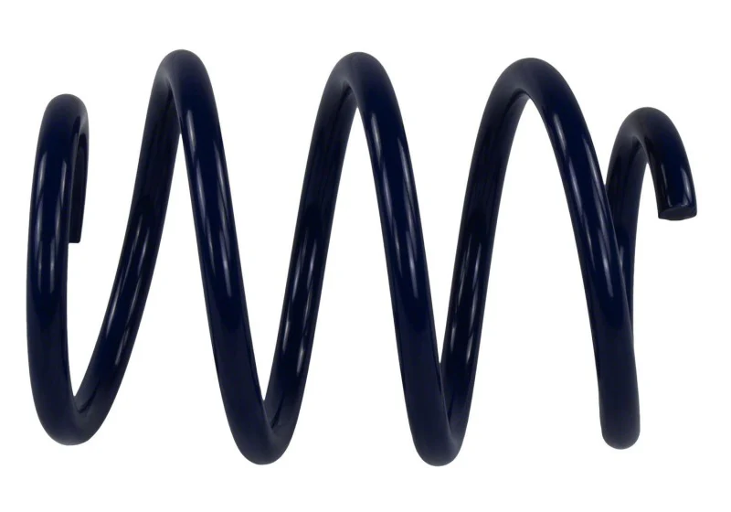 Ford Racing 2015-2017 Mustang GT350 Lowering Springs - Image 3