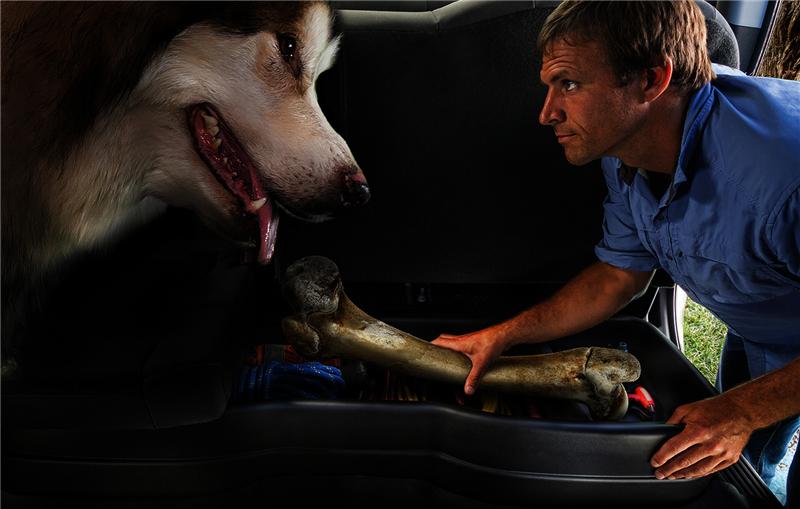 Husky Liners 07-12 Chevrolet Silverado/GMC Sierra Extended Cab Husky GearBox (68.5in.) - Image 4
